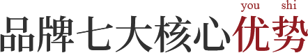 品牌七大核心优势